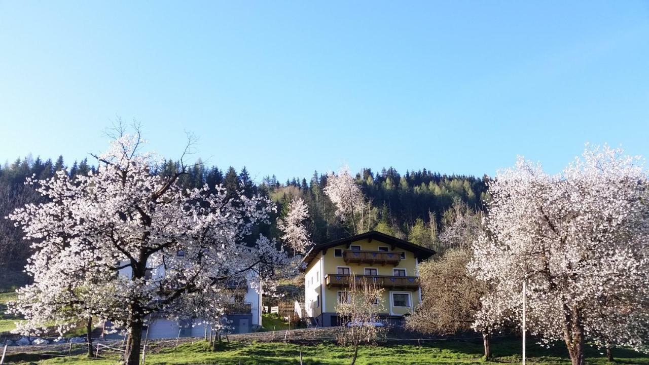 Ferienhaus Karin Bruck an der Grossglocknerstrasse Luaran gambar